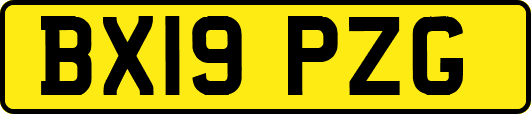 BX19PZG