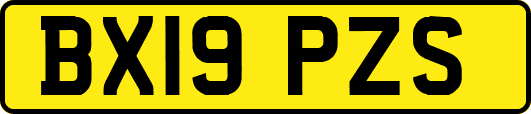 BX19PZS