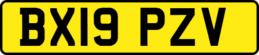 BX19PZV