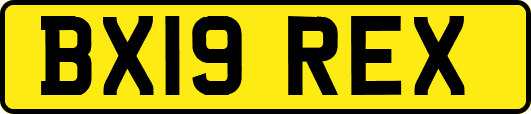 BX19REX