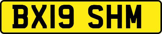 BX19SHM