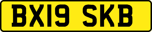 BX19SKB