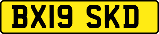 BX19SKD