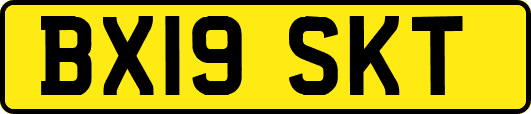 BX19SKT