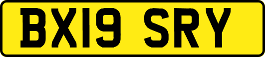 BX19SRY