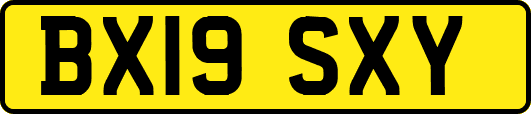 BX19SXY