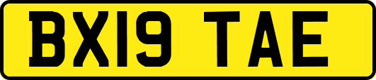 BX19TAE