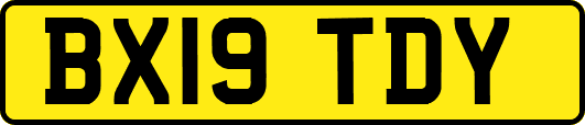 BX19TDY