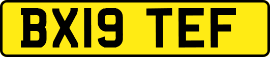 BX19TEF