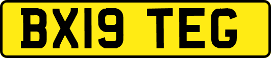 BX19TEG