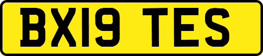 BX19TES