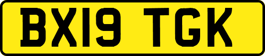 BX19TGK