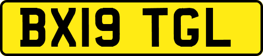 BX19TGL