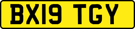 BX19TGY