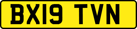 BX19TVN