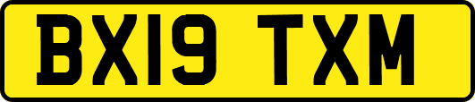 BX19TXM