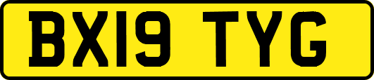 BX19TYG