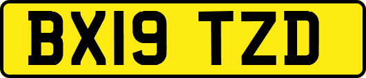 BX19TZD