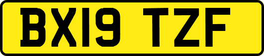 BX19TZF