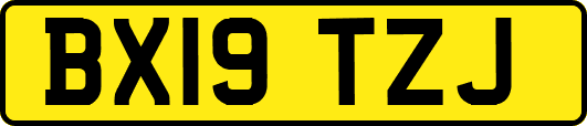 BX19TZJ