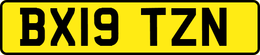 BX19TZN