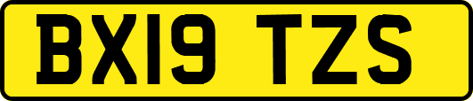 BX19TZS