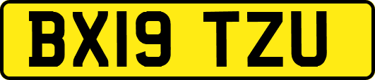 BX19TZU