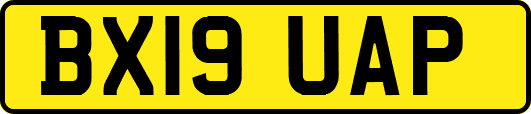 BX19UAP