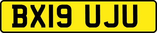 BX19UJU