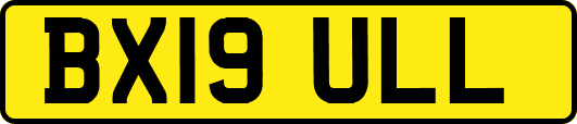 BX19ULL