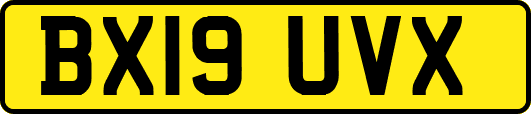 BX19UVX