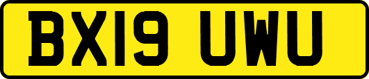 BX19UWU