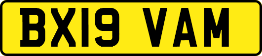 BX19VAM