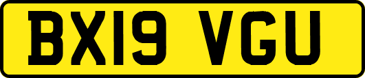 BX19VGU