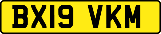 BX19VKM