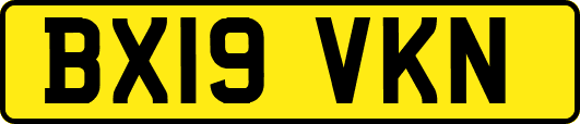 BX19VKN