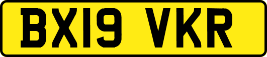 BX19VKR