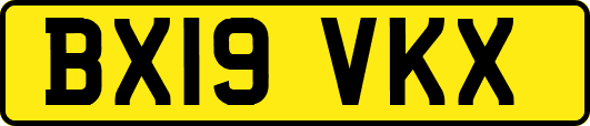 BX19VKX