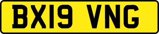 BX19VNG