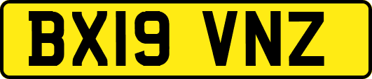 BX19VNZ