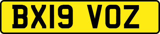 BX19VOZ