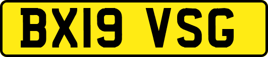 BX19VSG