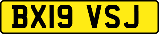 BX19VSJ