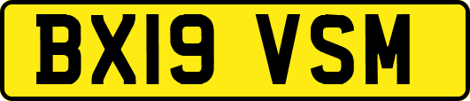 BX19VSM