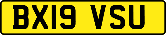 BX19VSU