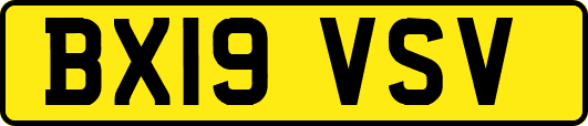 BX19VSV