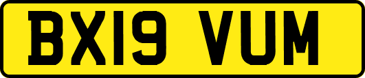 BX19VUM