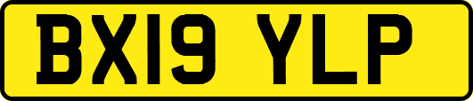 BX19YLP