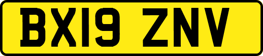 BX19ZNV