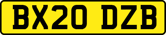 BX20DZB